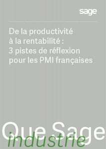 Livre Blanc : De la productivité à la rentabilité, 3 pistes de réflexion pour les PMI françaises