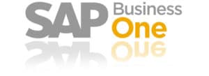 sap one business
